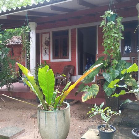 Angry Birds Homestay ฮาบารานา ห้อง รูปภาพ