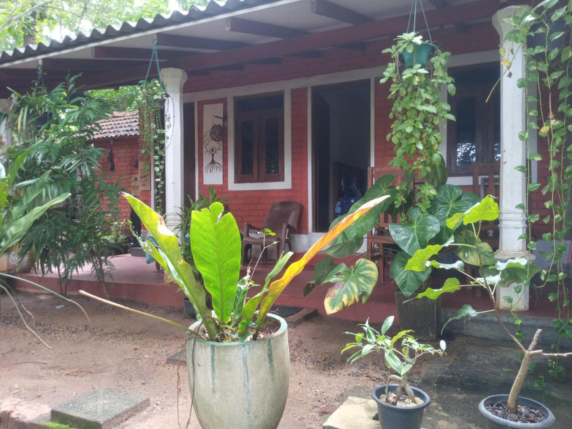 Angry Birds Homestay ฮาบารานา ห้อง รูปภาพ